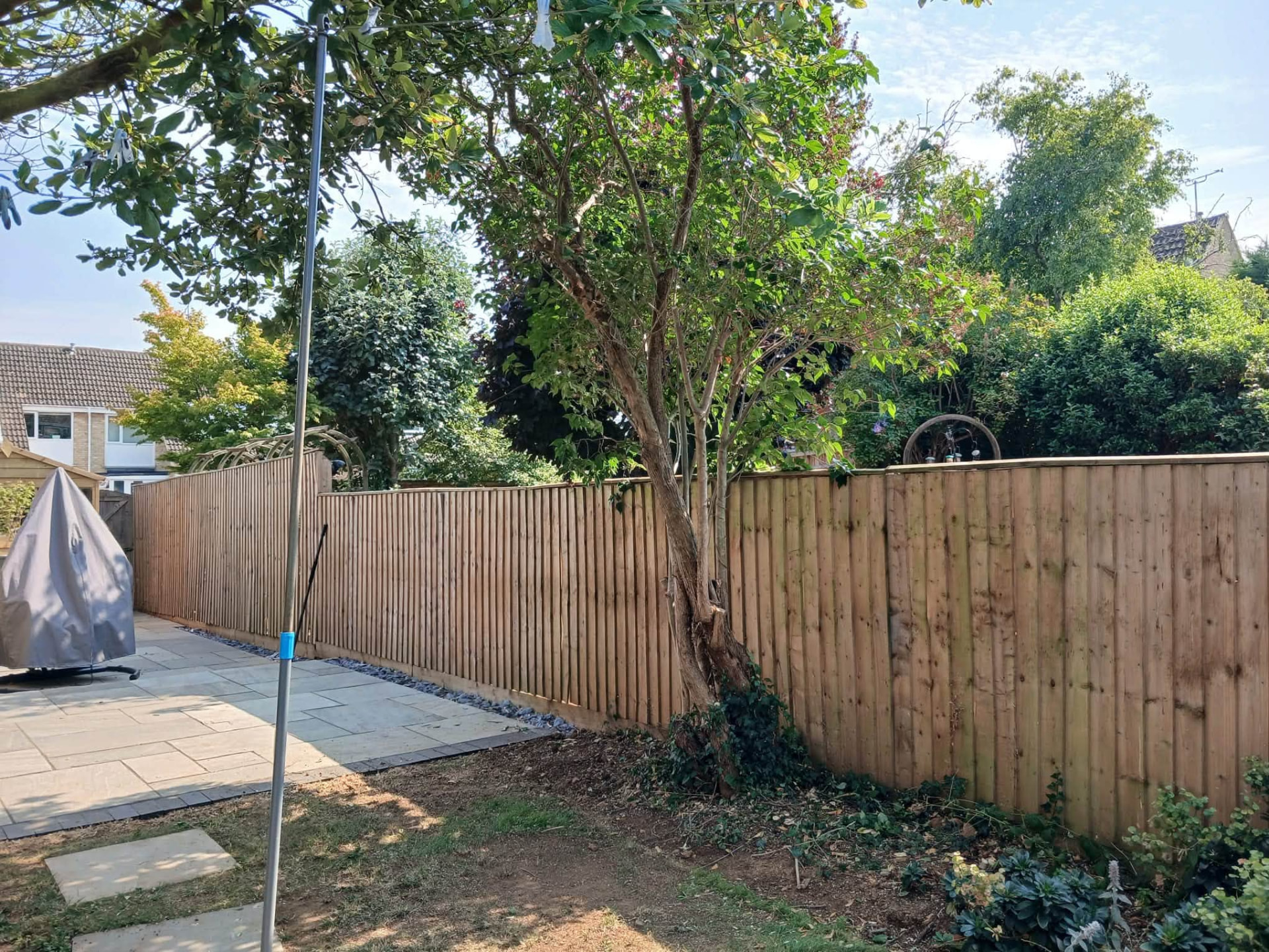 Crown Reduction, Thinning & Pruning