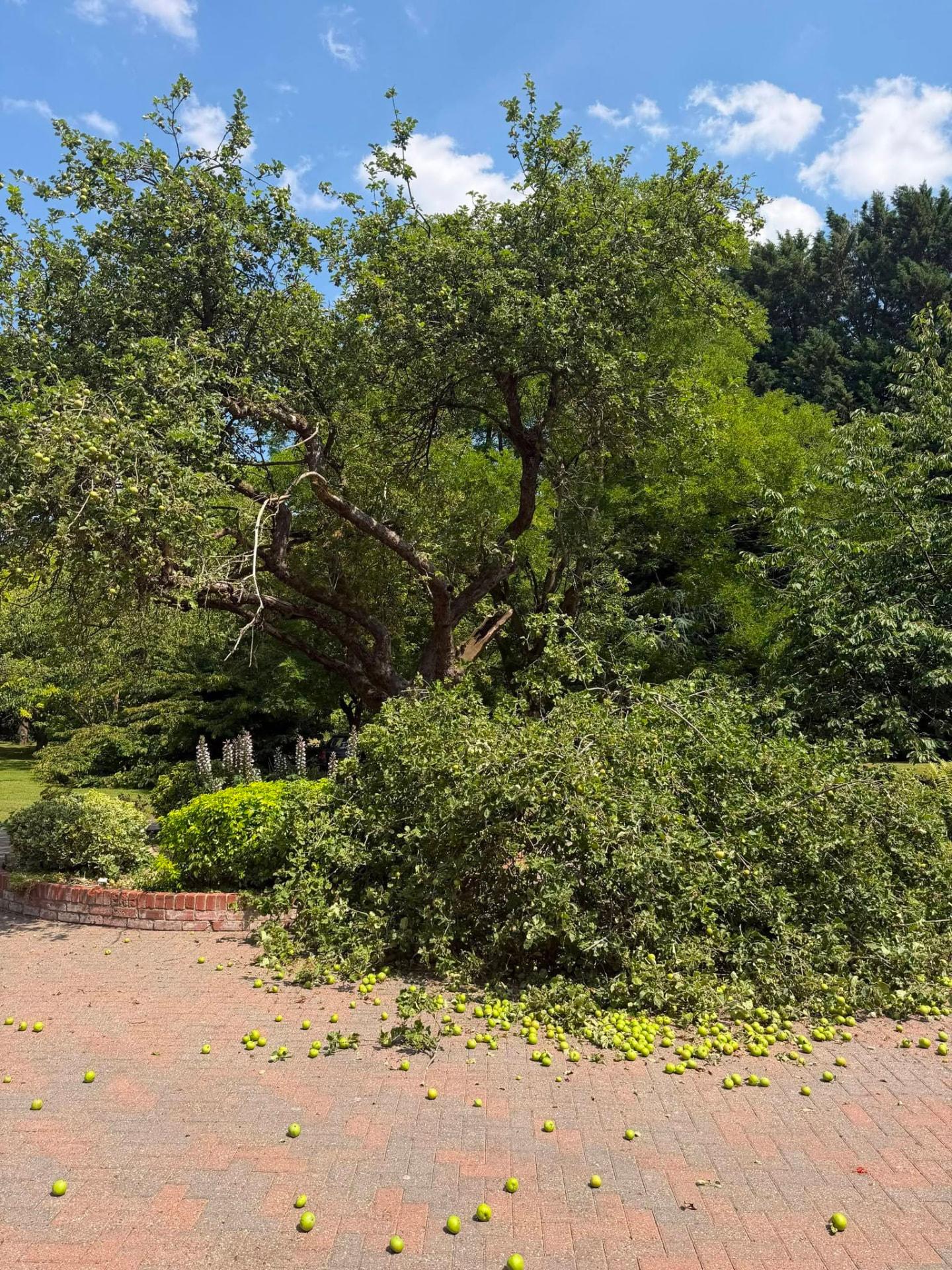 24/7 Emergency & Storm Damage
