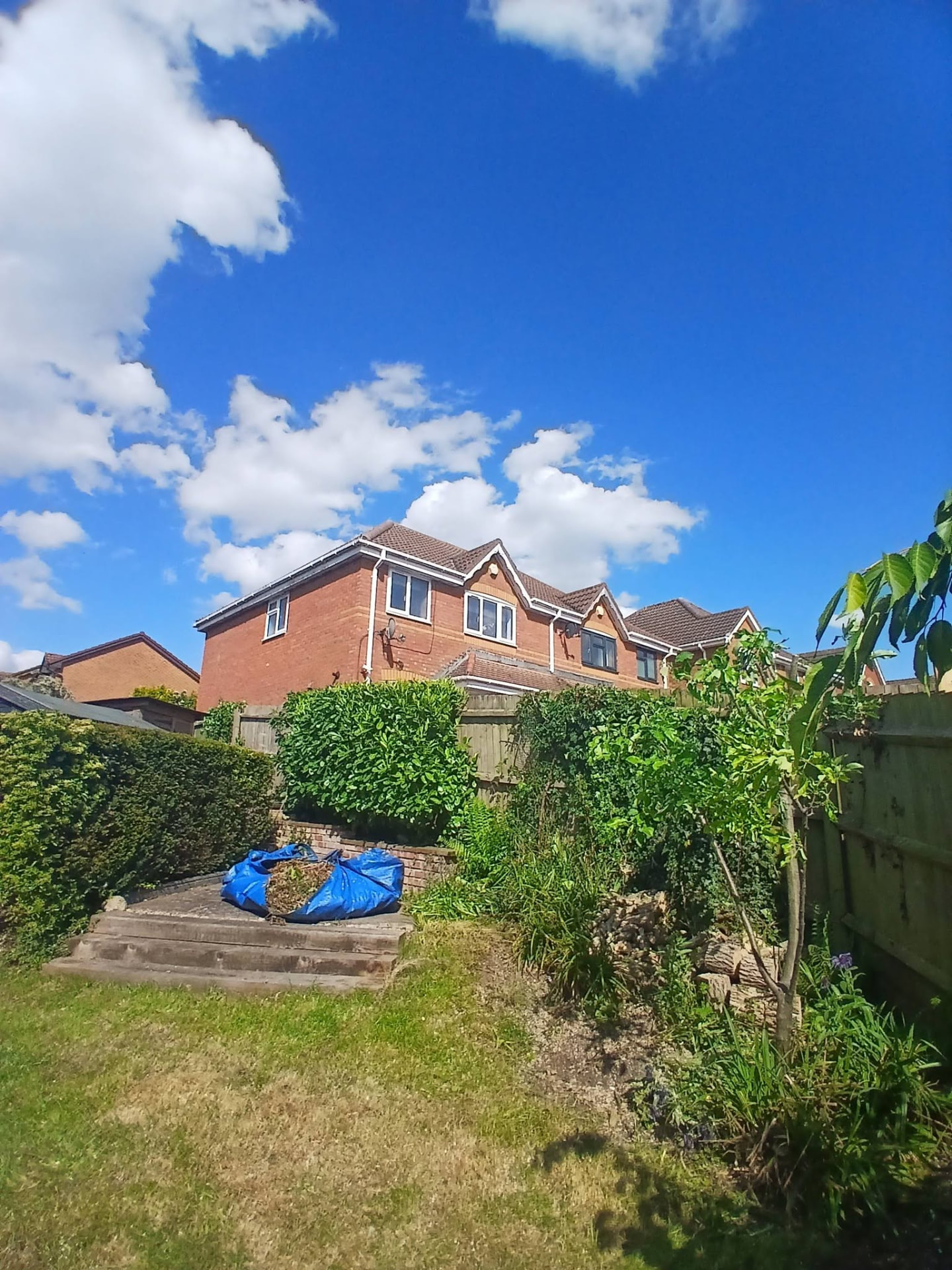 After — Boundary tree removal & hedge reduction