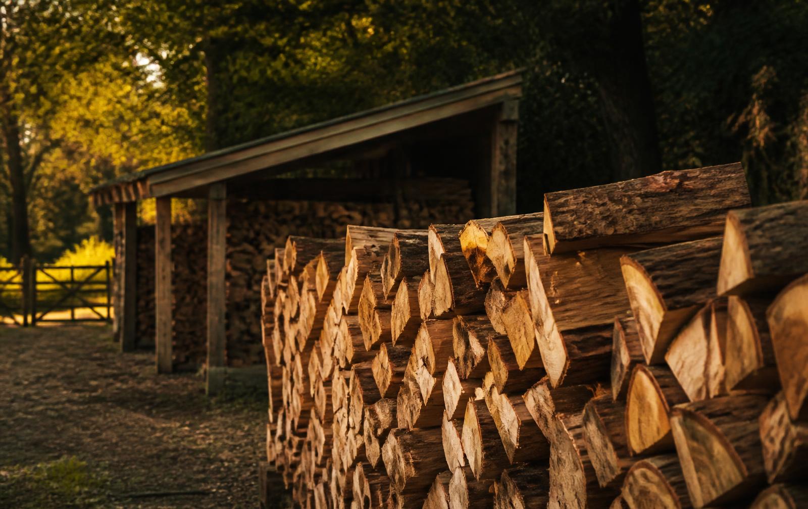 Site Clearance & Seasoned Logs